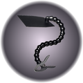 Flexible French Camera Flag