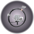 Fig Rig w/ Zoom Controller