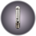 Bulb JT Series 500W Mogul