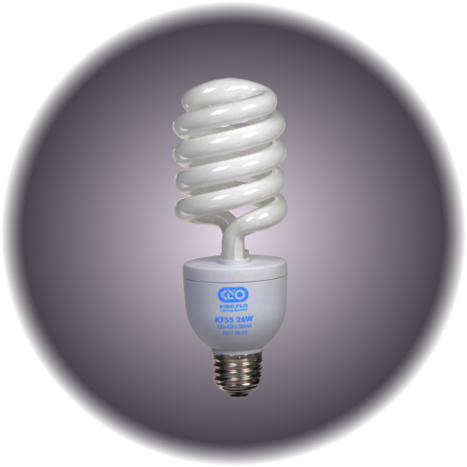 KinoFlo 26W CFL Daylight Bulb