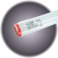 Kino Bulb 2' 2900°