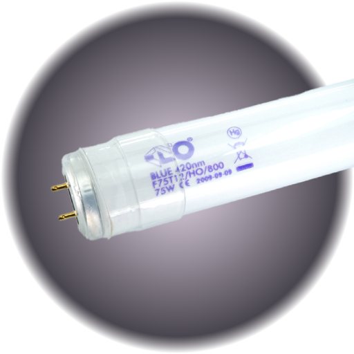 Kino Bulb 4' 420 Blue