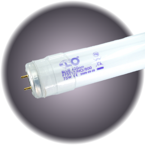 Kino Bulb 4' 420 Blue