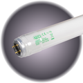 Kino Bulb 4' 525 Super Green