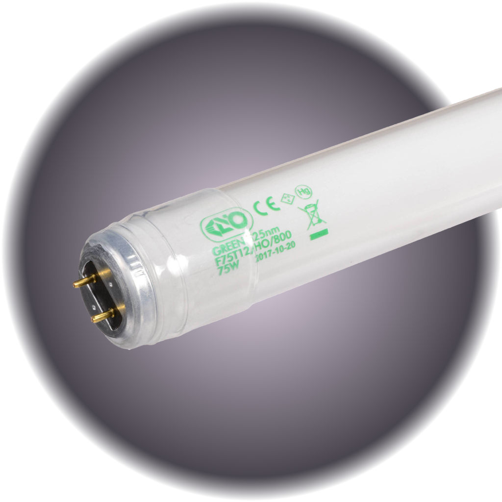 Kino Bulb 4' 525 Super Green