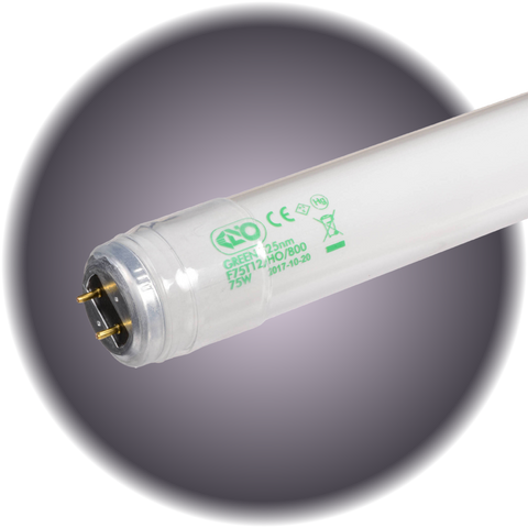 Kino Bulb 4' 525 Super Green