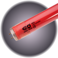 Kino Bulb 4' 625 Red