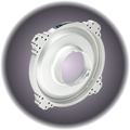 BugRing Video Pro Joker Bug