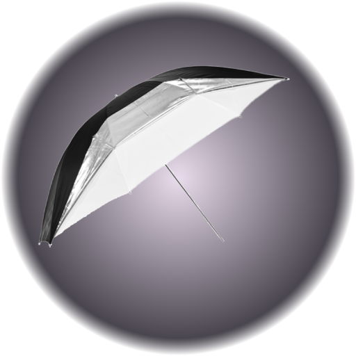 Umbrella White/Silver 30"
