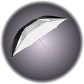 Umbrella White/Silver 45"