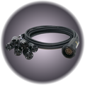 Socapex Cable 19 Pin Edison Break-Out