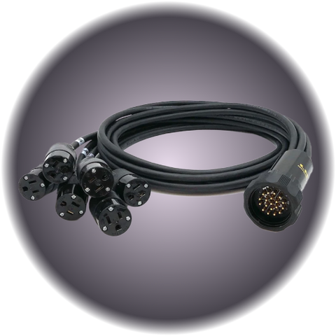 Socapex Cable 19 Pin Edison Break-Out