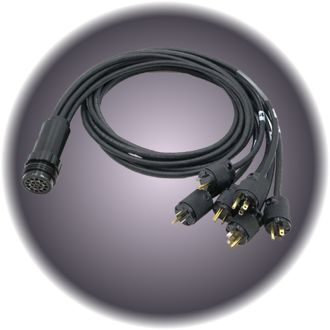 Socapex Cable 19 Pin Edison Break-in